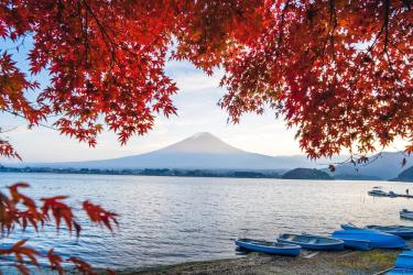 4 Days Deep Dive Kawaguchiko, Mt. Fuji And Mt. Minobu Tour